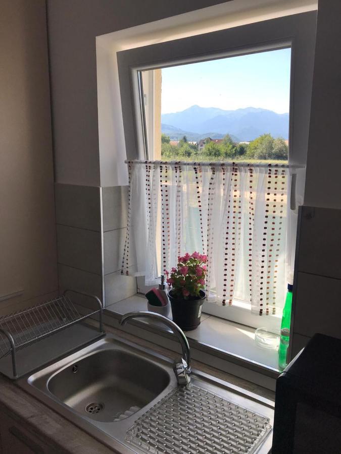 Cazare Apartament Rasnov Apartment Exterior photo